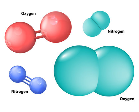 nitrogen and oxygen molecule