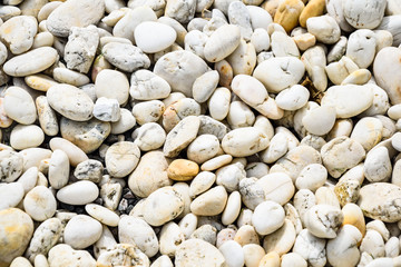 White stone background (texture)