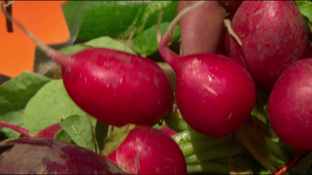 Extreme close up of hand grabbing radishes in slow motion