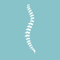 Spine diagnostic center