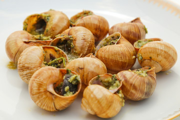 Escargots