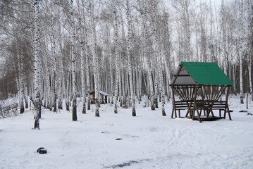 зима березы