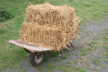 straw bales on a wheelbarrow © fredredhat