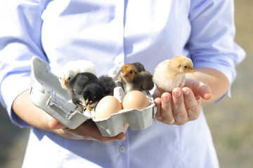 countrywoman is presenting a paperbox with eggs and chicken