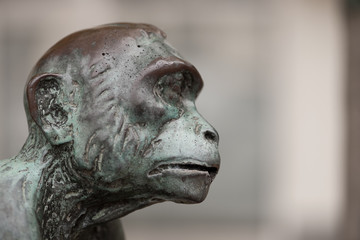 Fototapeta na wymiar Ein Affenkopf aus Bronze als Wasserspeier - Seitenansicht