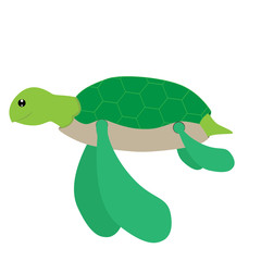 vector illustration of sea turtle on white background