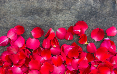Rose Petals on a wooden background