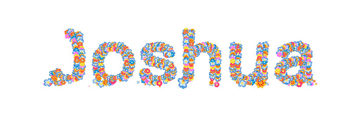 Male name Joshua filled with flowers