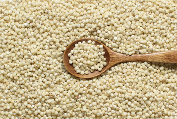 White Sorghum grain with a spoon