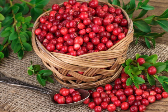 Basket of red cranberries