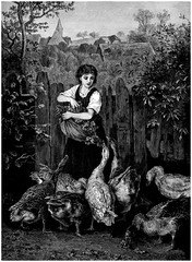 Peasant feeding Poultry - Fermière - 19th century