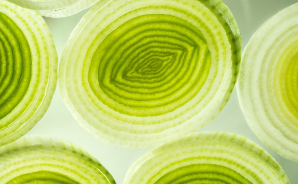 Circular Leek Vegetable Slices