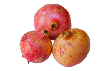 Pomegranate.