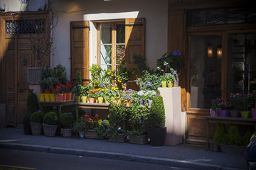 Fototapeta na wymiar Sunny corner of flower's shop in Chambery, France