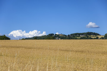 Landscape view from Savoy, Rone - Alps, France.
Farmland between annecy and Aix -les-Bain