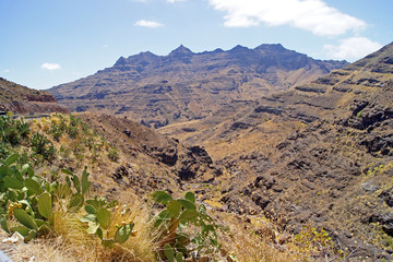 Gran Canarias Bergwelt