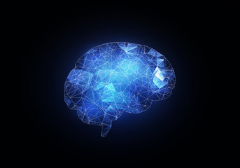 Digital human brain