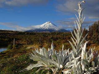 Amérique latine : entre végétation et volcan, Cotopaxi (Equateur)