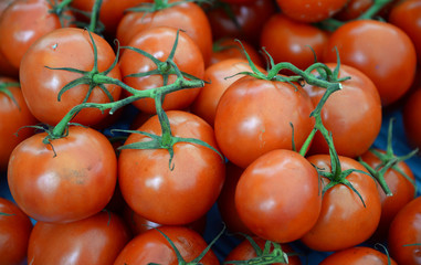 Tomaten
