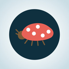Color illustration of ladybug