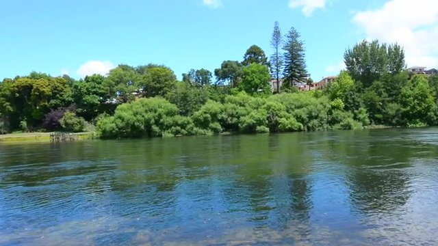 Landscape of the Waikato River passing through Hamilton, New Zealand.