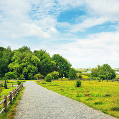 Fototapeta na wymiar Nature Rural Landscape