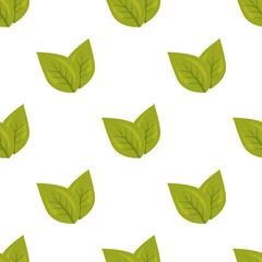 Obraz premium Color illustration of plant leafs