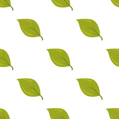 Fototapeta na wymiar Color illustration of leaf