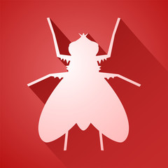 fly insect icon