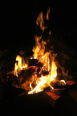 Burning firewood in the night fire