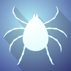tick insect 