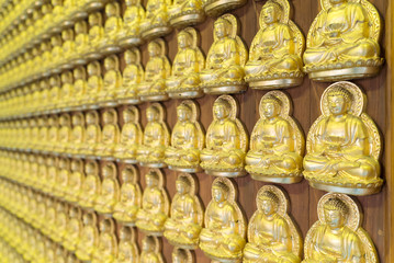 Golden Buddha line up along the wall of chinese temple