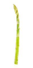 Fresh Green Asparagus