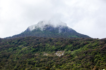 Adam's Peak Mountain