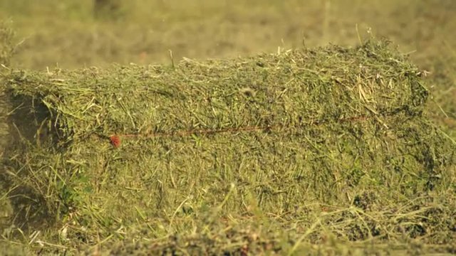 Medium shot of a hay baler dropping a bale of hay on the ground