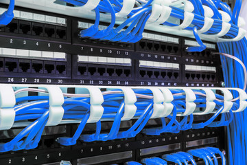 Close up of blue network cables connected to patch panel