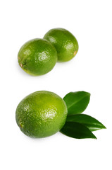 The fresh lime isolated on a white background