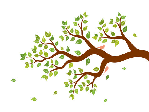 Vector illustration of tree branch with green leaves and two birds on white background. Wall sticker.