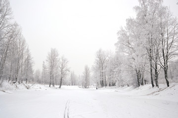 Winter landscape with snow-covered trees.