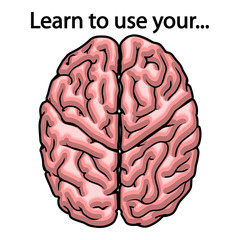 The brain as a symbol of the mind