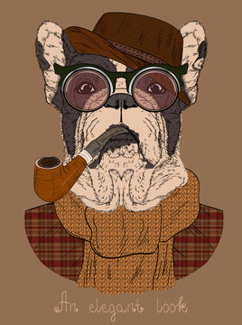 French bulldog with Tobacco Tube and glasses