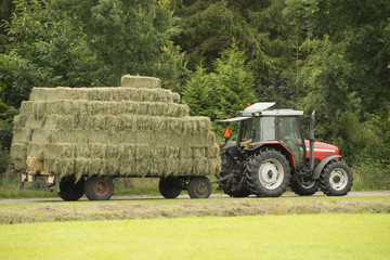 Transportation of bales of hay.