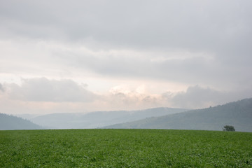 Obraz premium Sunset and mist on one of the hills between mountains