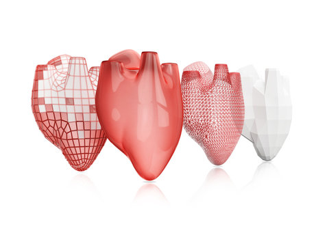 Process Of Creating Human Hearts