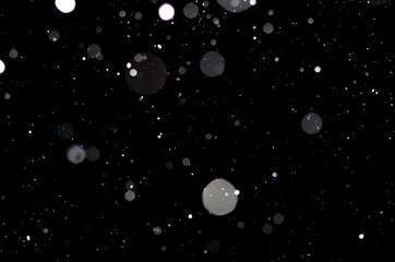 Obraz na płótnie Canvas Real falling snow on a black background