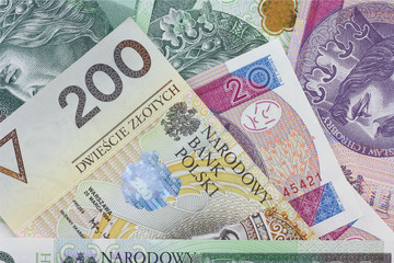 Polish Zloty