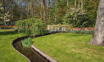 The garden of spring flowers.