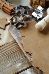 gingerbread dough and cutters