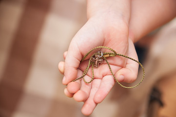 Obraz premium Orthodox cross in child's hand