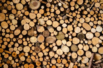 Möbelaufkleber Stack of wood prepared for winter © bellan